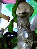 img20050111_2.jpg