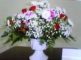 img20041219.jpg