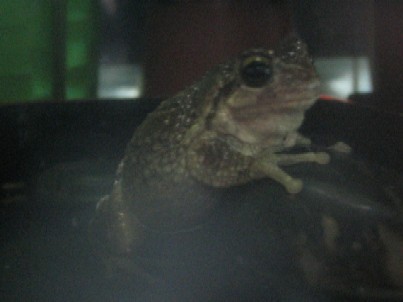 IMG_9399.jpg