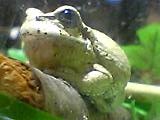img20050531_1.jpg