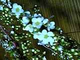 img20050430.jpg