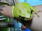 img20050428_2.jpg