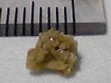 img20050323_2.jpg