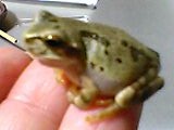 img20050111_2.jpg