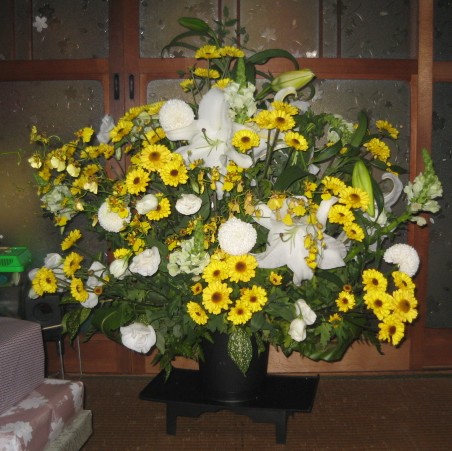 img20070319.jpg