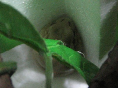 IMG_8984.jpg