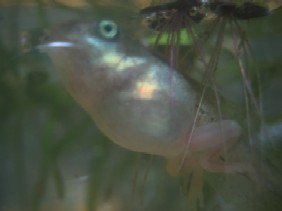 IMG_6785.jpg