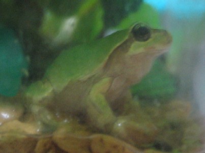IMG_7812.jpg