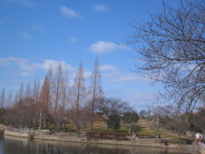 IMG_9447.jpg
