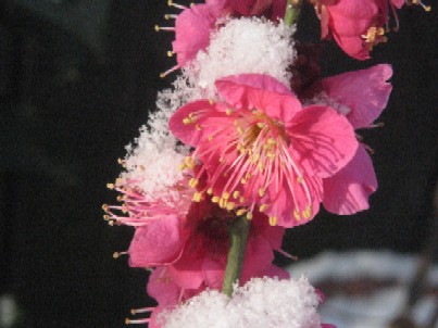 img_5973.jpg