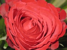 img_5080.jpg