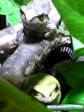 img20050423_2.jpg
