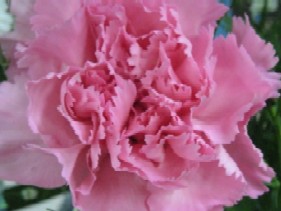 img_2833.jpg