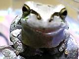 img20050413_1.jpg