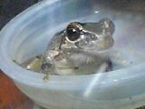 img20050112_1.jpg