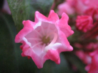 img_1920.jpg