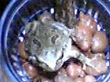 img20050328.jpg