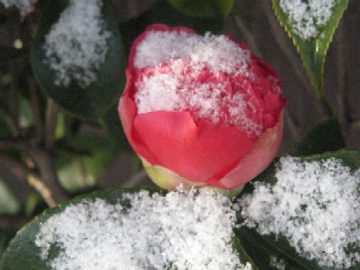 img_5979.jpg