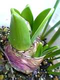 img20050303_2.jpg