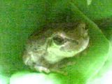 img20050611_2.jpg