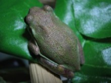 IMG_0415.jpg