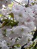 img20050606_3.jpg
