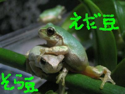 img20051219.jpg