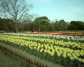 DSC_3492.jpg