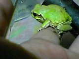 img20050428_3.jpg