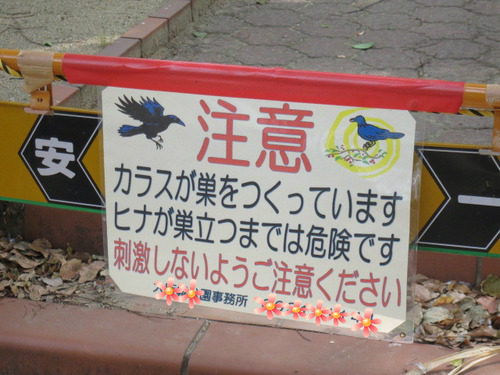 BlogPaint