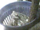 img20050413_4.jpg