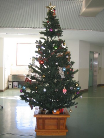 IMG_7637.jpg