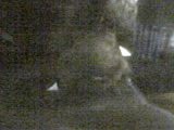 img20050611_4.jpg