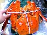 img20050413_2.jpg