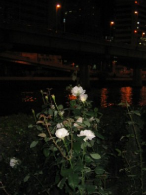 IMG_5686.jpg