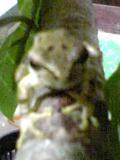 img20050108_1.jpg