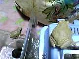 img20050219_2.jpg