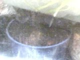img20050603_1.jpg