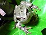 img20050413.jpg