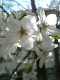 img20050528.jpg
