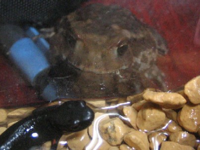 IMG_8625.jpg