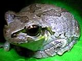 img20050610.jpg