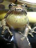 img20050111_1.jpg