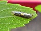 img20050423_2.jpg