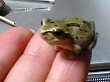 img20050111.jpg
