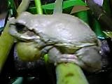 img20050603_3.jpg