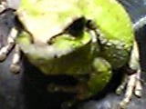 img20050425_3.jpg