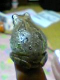 img20050610_3.jpg