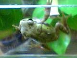 img20050610.jpg