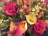img20050214.jpg